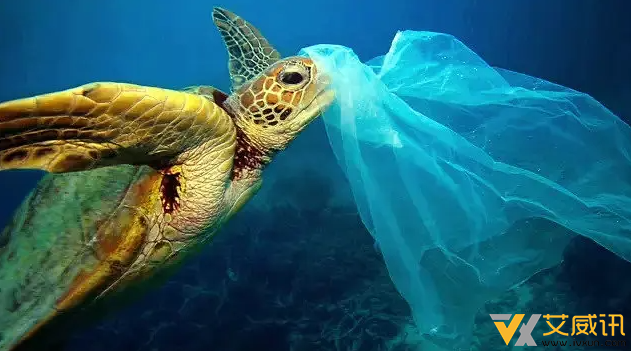 塑料袋对环境的污染：对海洋生物的灭顶之灾