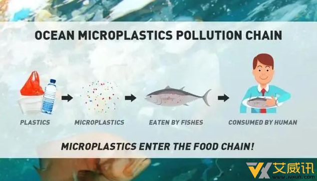 塑料颗粒吃进去人体的危害：我们每天吃进多少微塑颗粒？