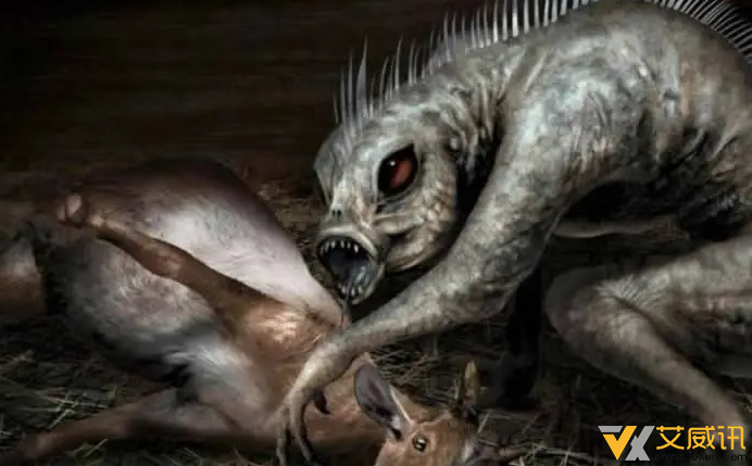 未知生物怪兽：传说吸血怪兽卓柏卡布拉灭绝了吗？