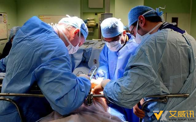 动物器官移植人体再进一步，猪肾在脑死亡患者体内撑过1个月