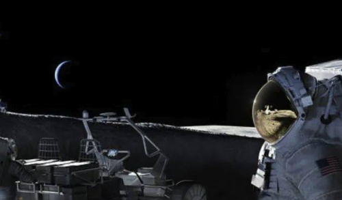 NASA公布登月新计划：再次探索无垠宇宙的新篇章